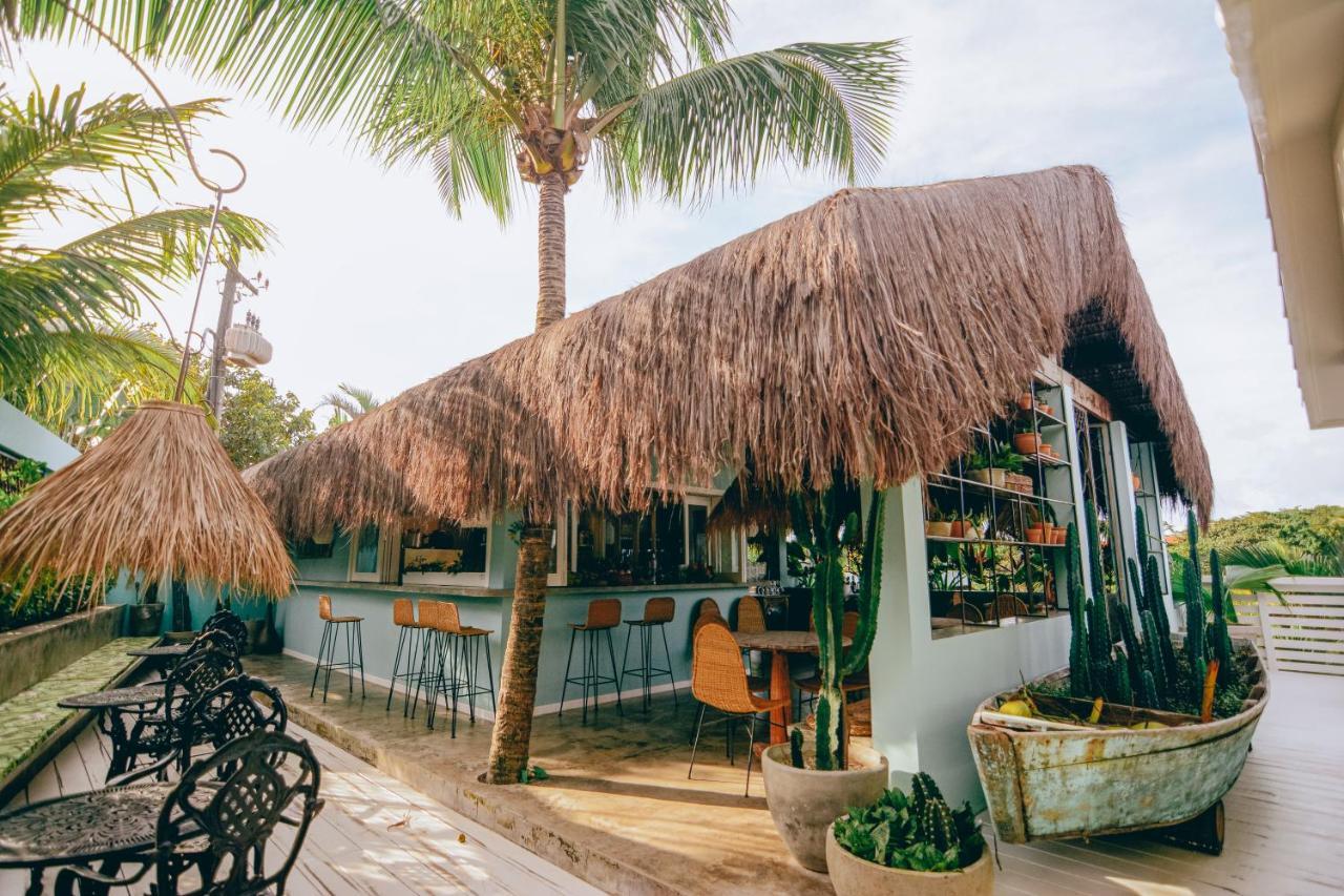 Cactus Lodge Pipa Praia de Pipa Εξωτερικό φωτογραφία