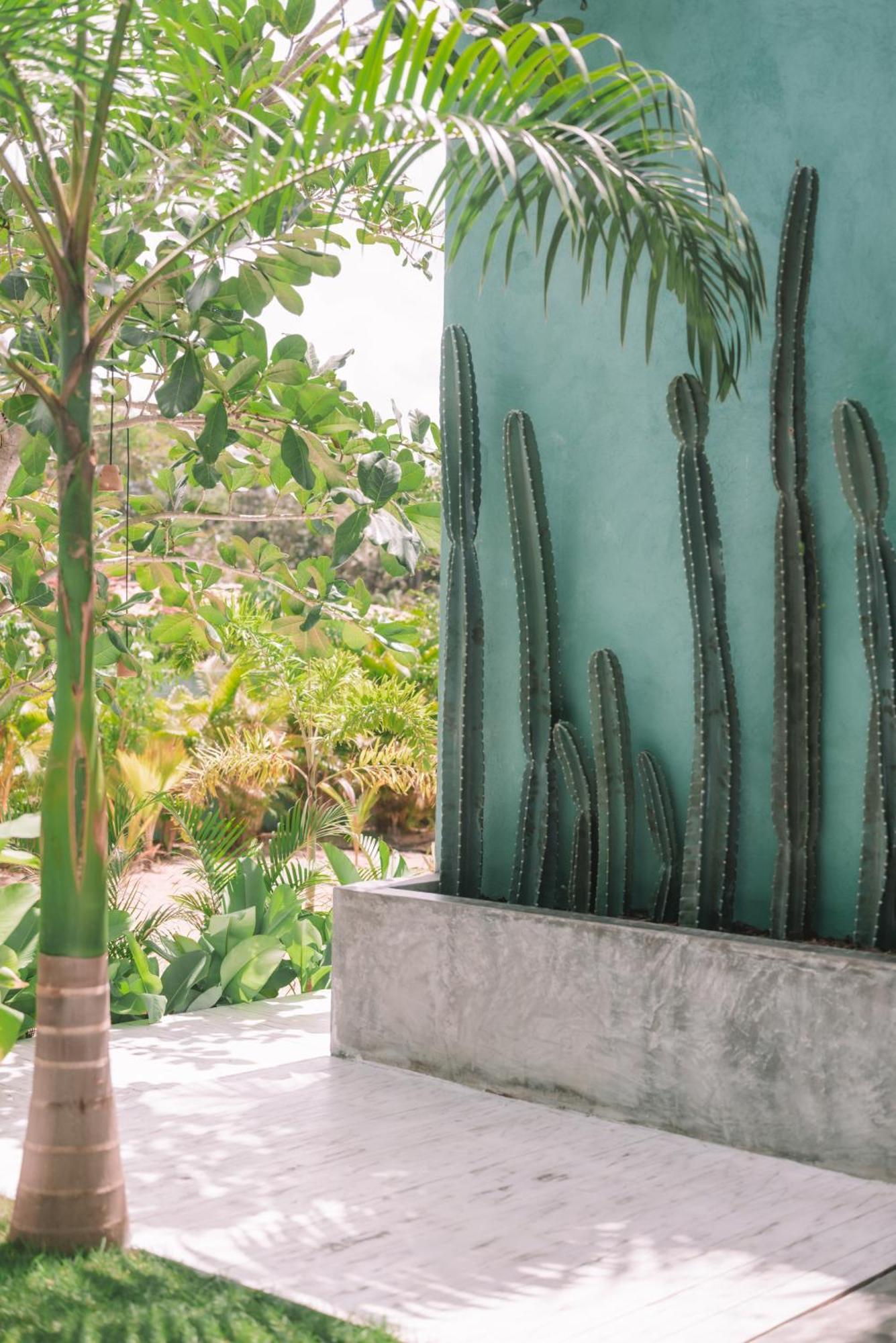 Cactus Lodge Pipa Praia de Pipa Εξωτερικό φωτογραφία